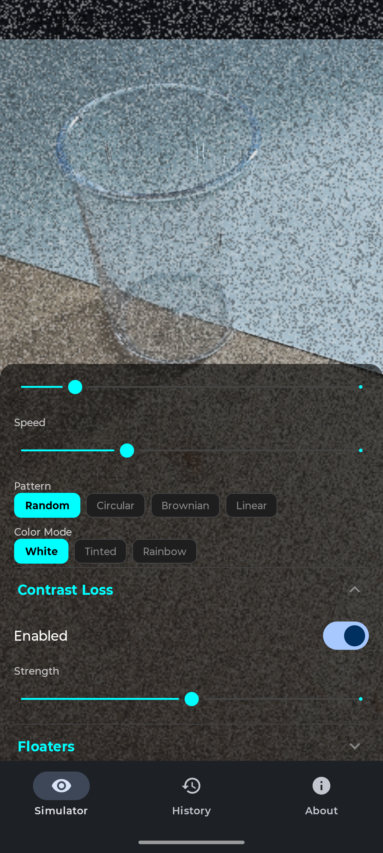 Simulator Screenshot